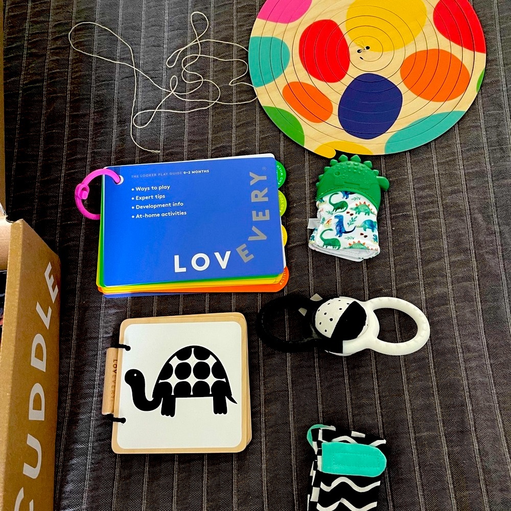 Lovevery - partial “the looker” playkit